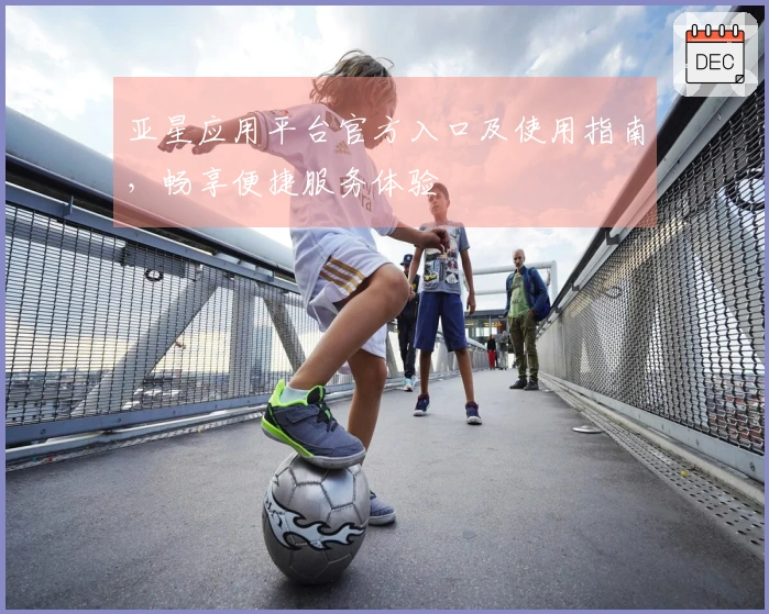 亚星应用平台官方入口及使用指南，畅享便捷服务体验