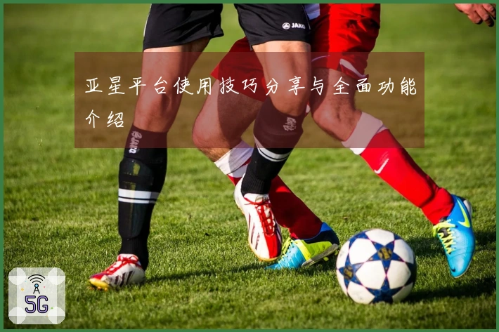 亚星平台使用技巧分享与全面功能介绍
