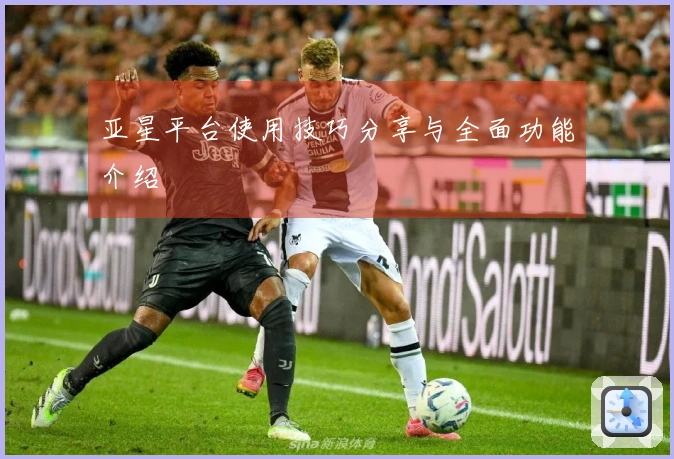 亚星平台使用技巧分享与全面功能介绍